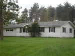 807 N New St Stanton, MI 48888 - Image 577177