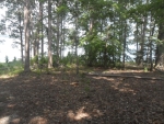 215 NAUTICAL WAY, LOT 47 Greenwood, SC 29649 - Image 598002