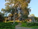 6366 Bald Mountain Rd Browns Valley, CA 95918 - Image 604180