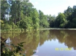 274 Iricks Pond Rd Orangeburg, SC 29115 - Image 606315