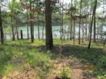 Lot 134 Pt Overlook Double Springs, AL 35553 - Image 606616