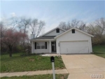 14343 Jamestown Bay Dr Florissant, MO 63034 - Image 608241