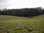 2059 HAYS SMITHS GROVE RD Smiths Grove, KY 42171 - Image 622071