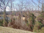 2076 Turners Landing Rd Russellville, TN 37860 - Image 626451