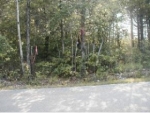 LOT 20 PHASE 9 EMERALD Hollister, MO 65672 - Image 637339