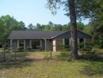 8225 BROOK VIEW DR Eight Mile, AL 36613 - Image 642249