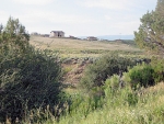 3101 CR 342 Silt, CO 81652 - Image 643460