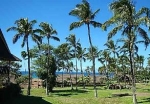 0 KEPUHI PL UNIT NO 14A03/1203 Maunaloa, HI 96770 - Image 650469