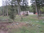 1800 Coon Hollow Road Kila, MT 59920 - Image 660307