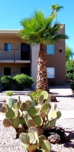 13624 N Saguaro Boulevard Fountain Hills, AZ 85268 - Image 664758