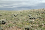 WT 2-15, WT 2-16 Medicine Bow, WY 82329 - Image 675698