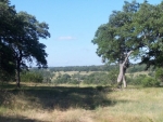 0 E Grape Creek Fredericksburg, TX 78624 - Image 693492