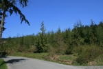 LOT 1 LAKE CAVANAUGH Mount Vernon, WA 98274 - Image 697215