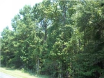 0 WILSON LANDING RD Pineville, SC 29468 - Image 705465