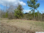 BILLINGSLEY DR 0 Sylacauga, AL 35151 - Image 706785