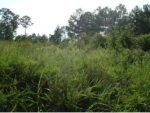 LOT 2 CAIN CREEK Sylacauga, AL 35151 - Image 706787