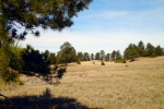 32 Frontier Reserve Ranch Lusk, WY 82225 - Image 711930