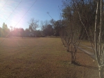 15252 Hwy 104 Silverhill, AL 36576 - Image 715740