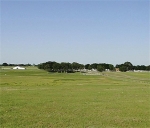 320 Fm 3059 Streetman, TX 75859 - Image 716611