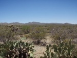 25325 S Enchanted Valley Tucson, AZ 85739 - Image 723747