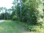 00 NE 113th Ave. Waldo, FL 32694 - Image 734645