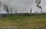 L1 B4 W Gold Bar Road Wasilla, AK 99654 - Image 734801