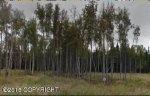 1654 W Gold Bar Road Wasilla, AK 99654 - Image 734800