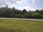 0 Alabama Highway 24 Moulton, AL 35650 - Image 749245