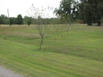 55 Bowman Road Albertville, AL 35951 - Image 749400