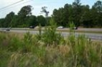 3 +/- ACRES N. US HIGHWAY 231 Ozark, AL 36360 - Image 750669