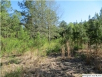 321 DUSTY TRAIL LN 3 ACRES Talladega, AL 35160 - Image 750894