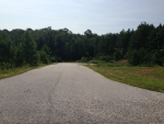 Lot 19 River Bend Heights Valley, AL 36854 - Image 751196