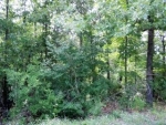 14 Yana Trail Cherokee Village, AR 72525 - Image 752320