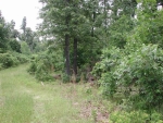 Lot #4 Big Oak Estates Cherokee Village, AR 72529 - Image 752367