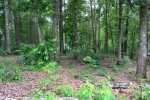 Lot 95 Keowee Falls South Town  Apn Salem, SC 29676 - Image 752662