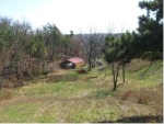 5281 Long Creek Road Harrison, AR 72601 - Image 752768