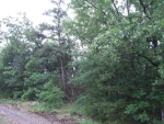 Unk Highway 88 East Mena, AR 71953 - Image 753116