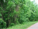 61.59 Acres MC 28 Texarkana, AR 71854 - Image 753596