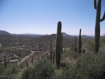 43716 N 65TH Street Cave Creek, AZ 85331 - Image 754381