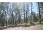 Lot 40 Hunter Creek Ranch Payson, AZ 85541 - Image 755234