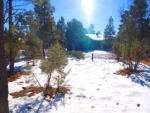 4190 W Sugar Pine Loop Show Low, AZ 85901 - Image 755674