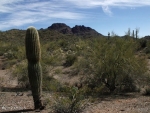 75 AC W FOREPAUGH AIRPORT Road Wickenburg, AZ 85390 - Image 756081