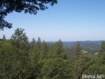 19316 Adamson Grass Valley, CA 95949 - Image 757099