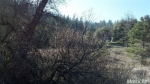 15842 Brewer Rd Grass Valley, CA 95949 - Image 757095