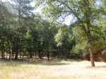 10710 West View Way Grass Valley, CA 95949 - Image 757106