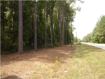 8 HWY 174 Adams Run, SC 29426 - Image 757993