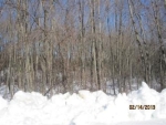 Lot 8 Guernseytown Rd. Watertown, CT 06795 - Image 758194