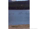 69 Wilderness Drive Dr 228 Breckenridge, CO 80424 - Image 759196