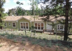 177 Donzi Trail Florissant, CO 80816 - Image 760121