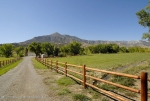 0933 County Road 215 Parachute, CO 81635 - Image 760704